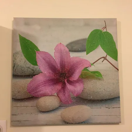 Apartment Mimosa, Tram 2, Parking Montpellier